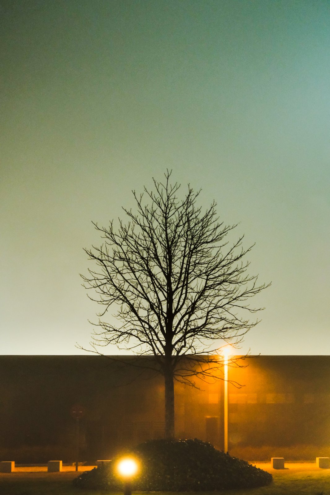DSCF8275.jpg