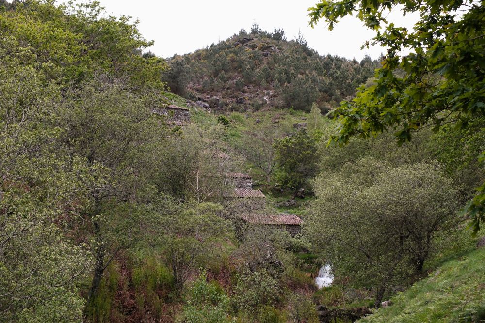 DSCF8413.jpg