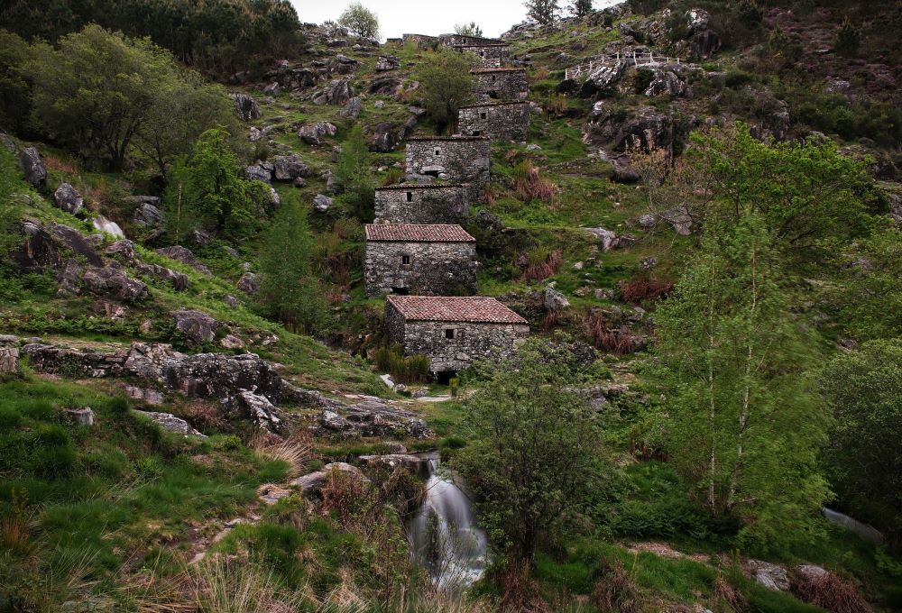 DSCF8430.jpg