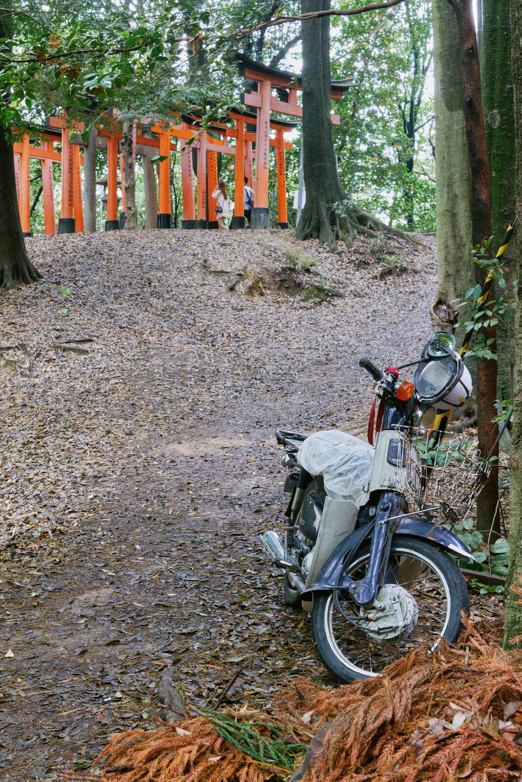 DSCF8446.jpg