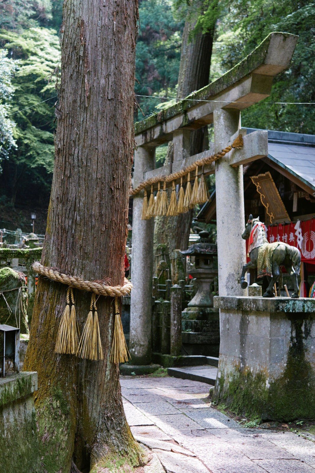 DSCF8480.jpg