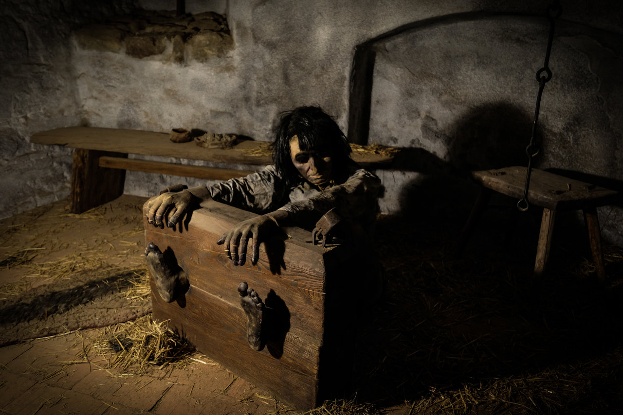 DSCF8524-3.jpg