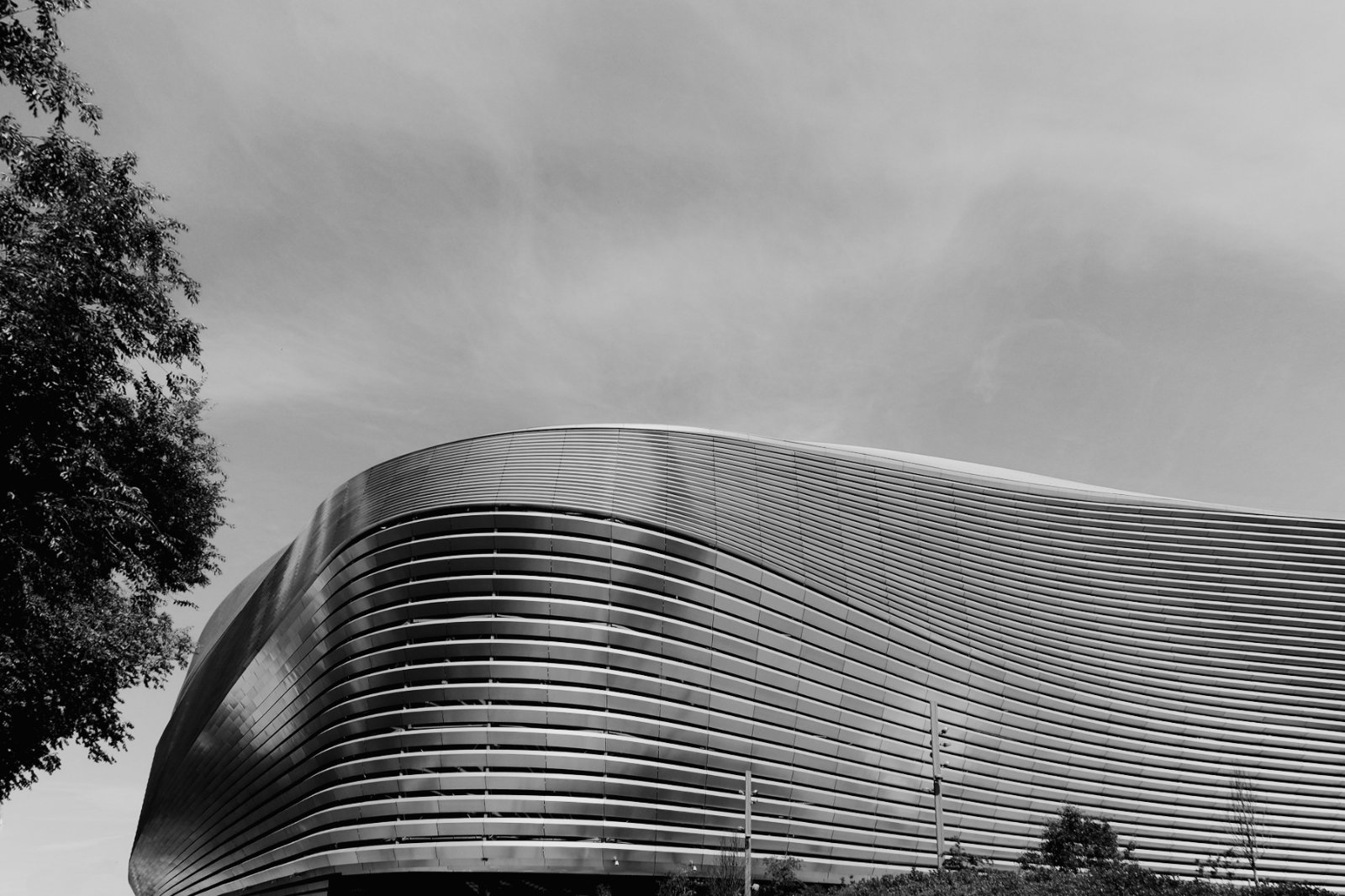 DSCF8539.jpg