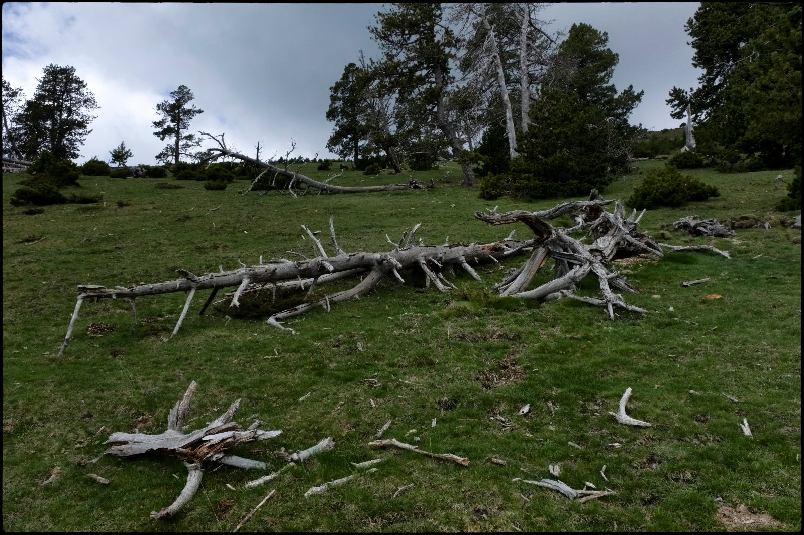 DSCF8603.jpg