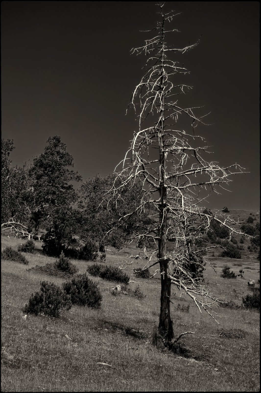 DSCF8613.jpg