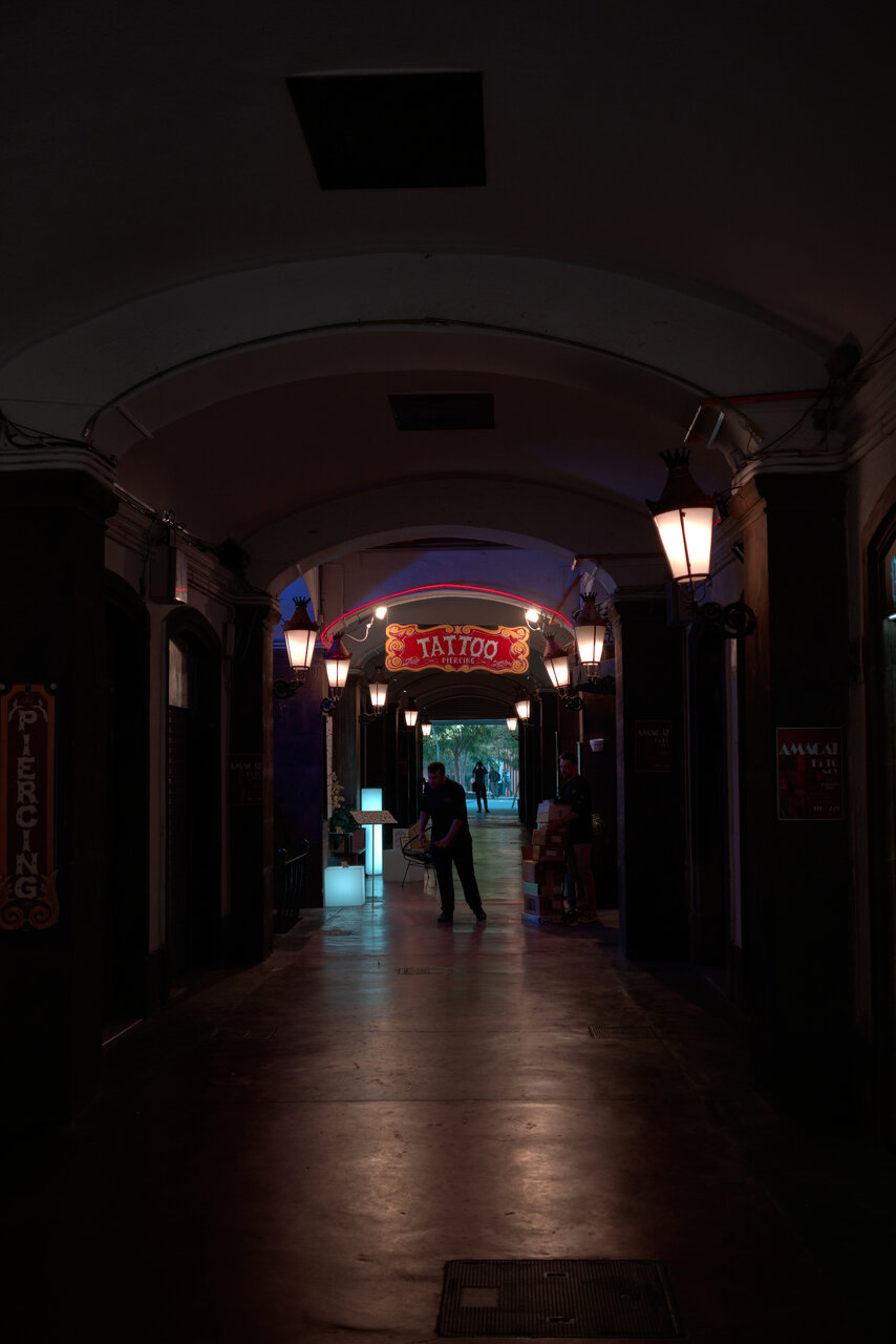 DSCF8627.jpg