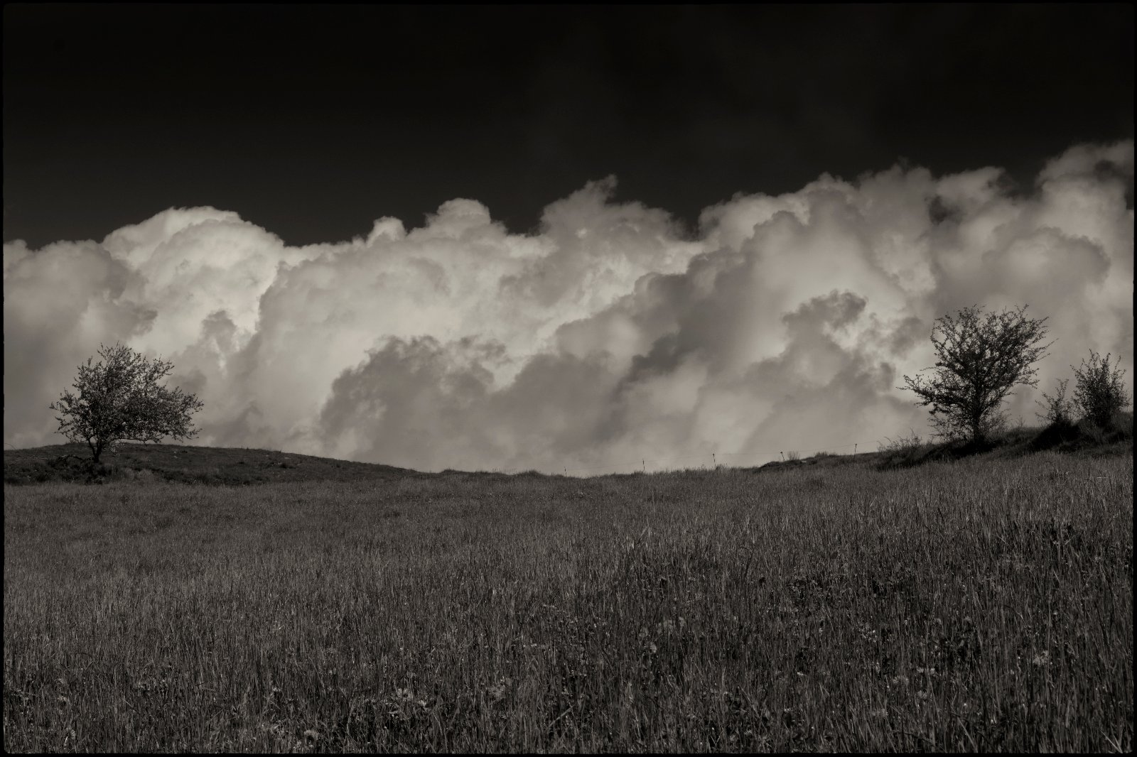 DSCF8639-1.jpg