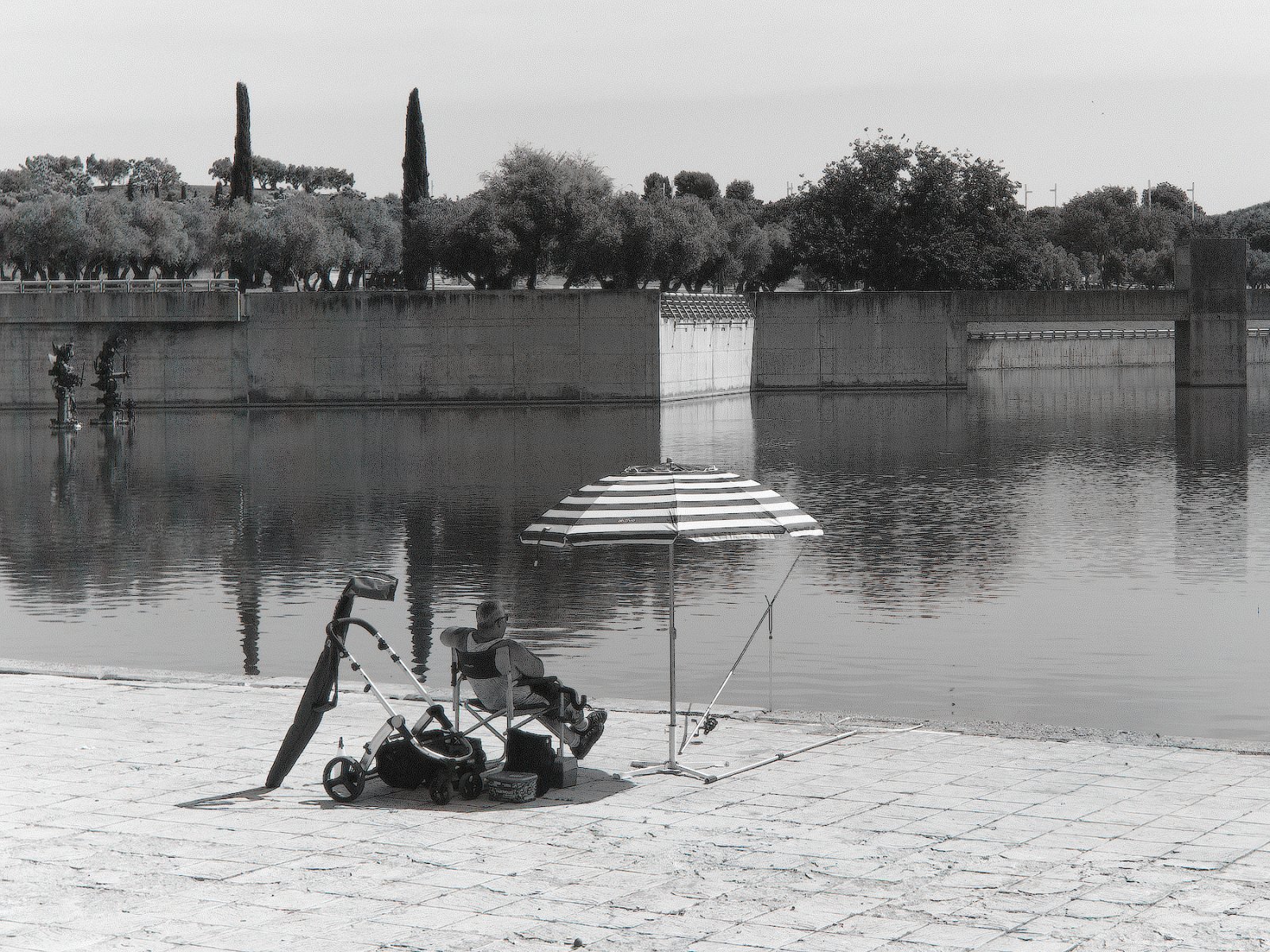 DSCF8698.jpg