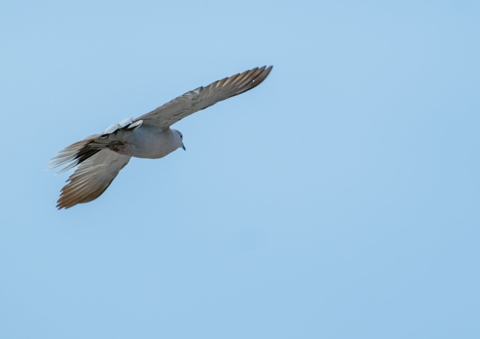 DSCF8821.jpg