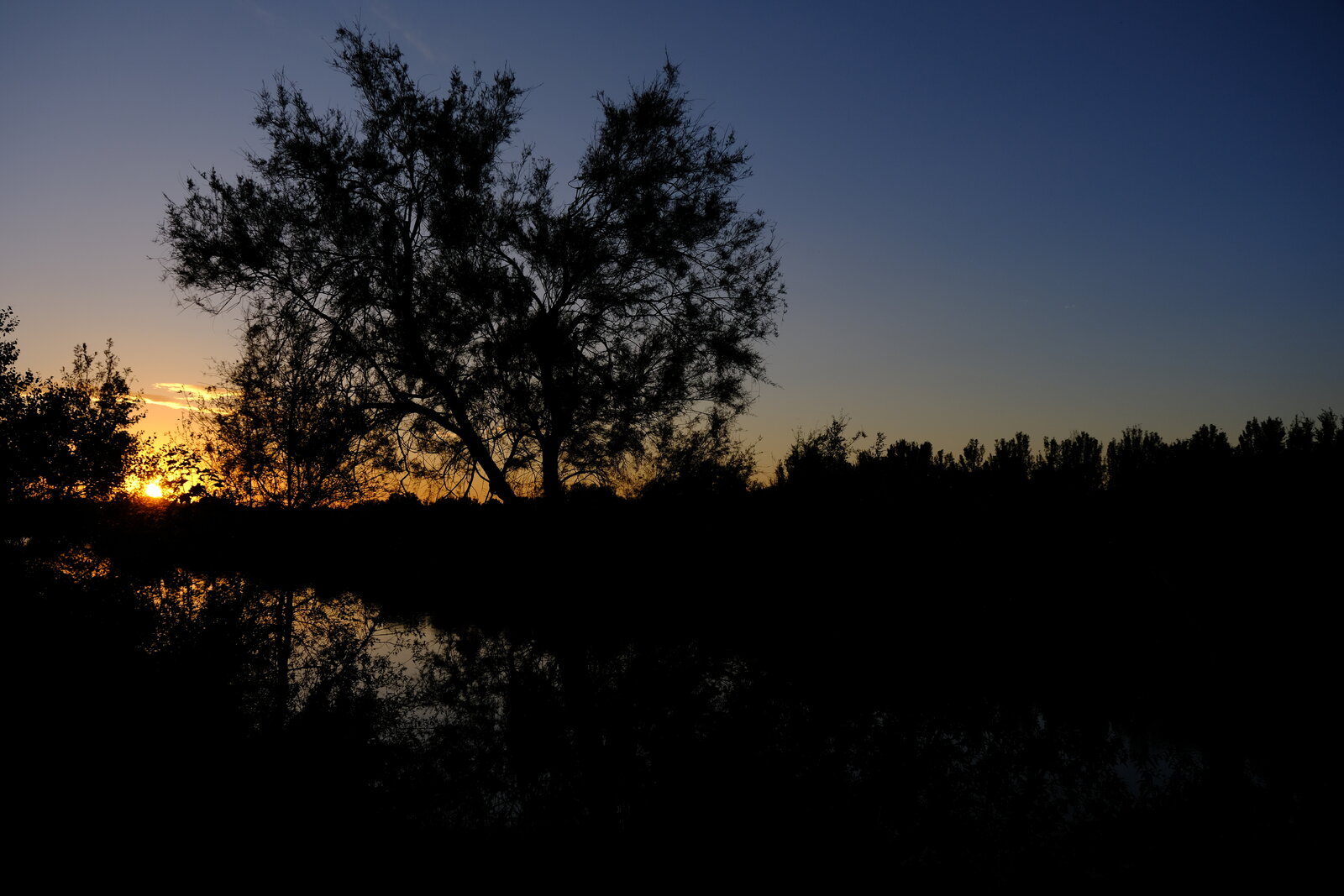 DSCF8962.JPG