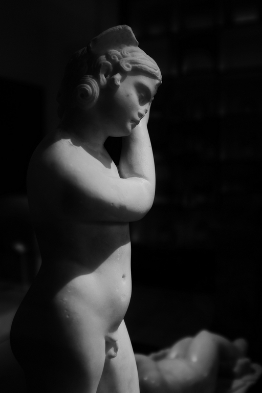 DSCF9006.JPG