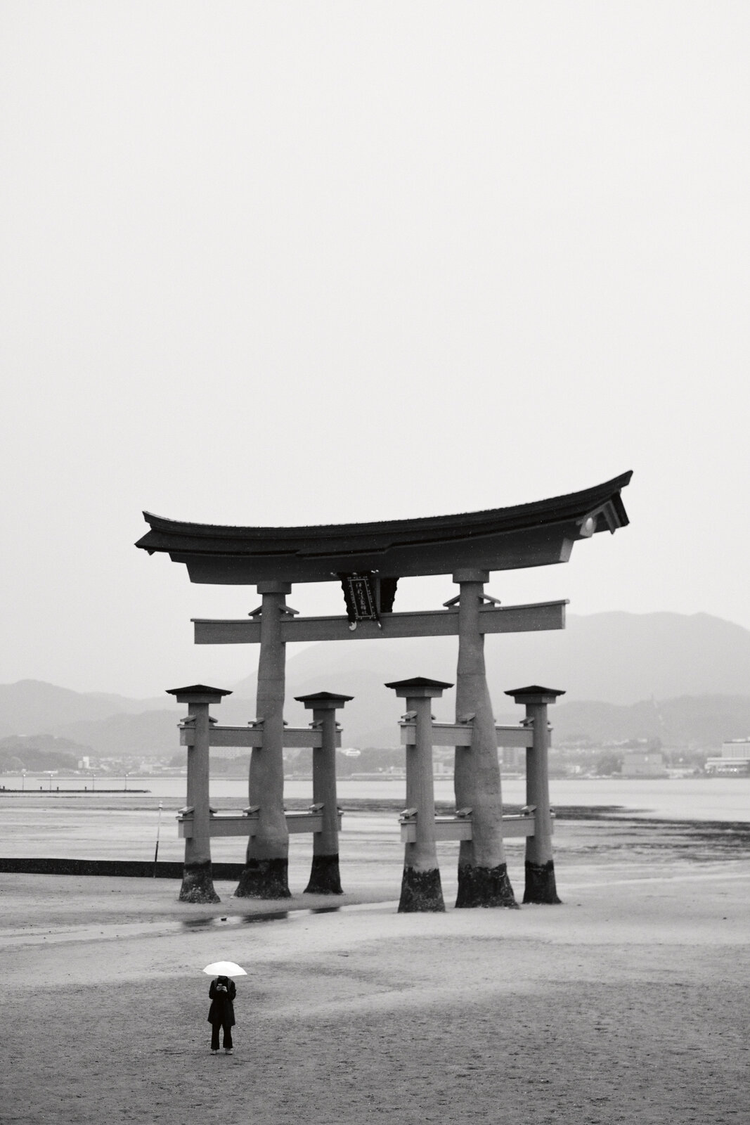 DSCF9041.jpg