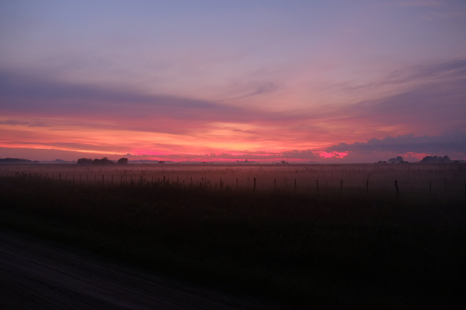 DSCF9110.JPG