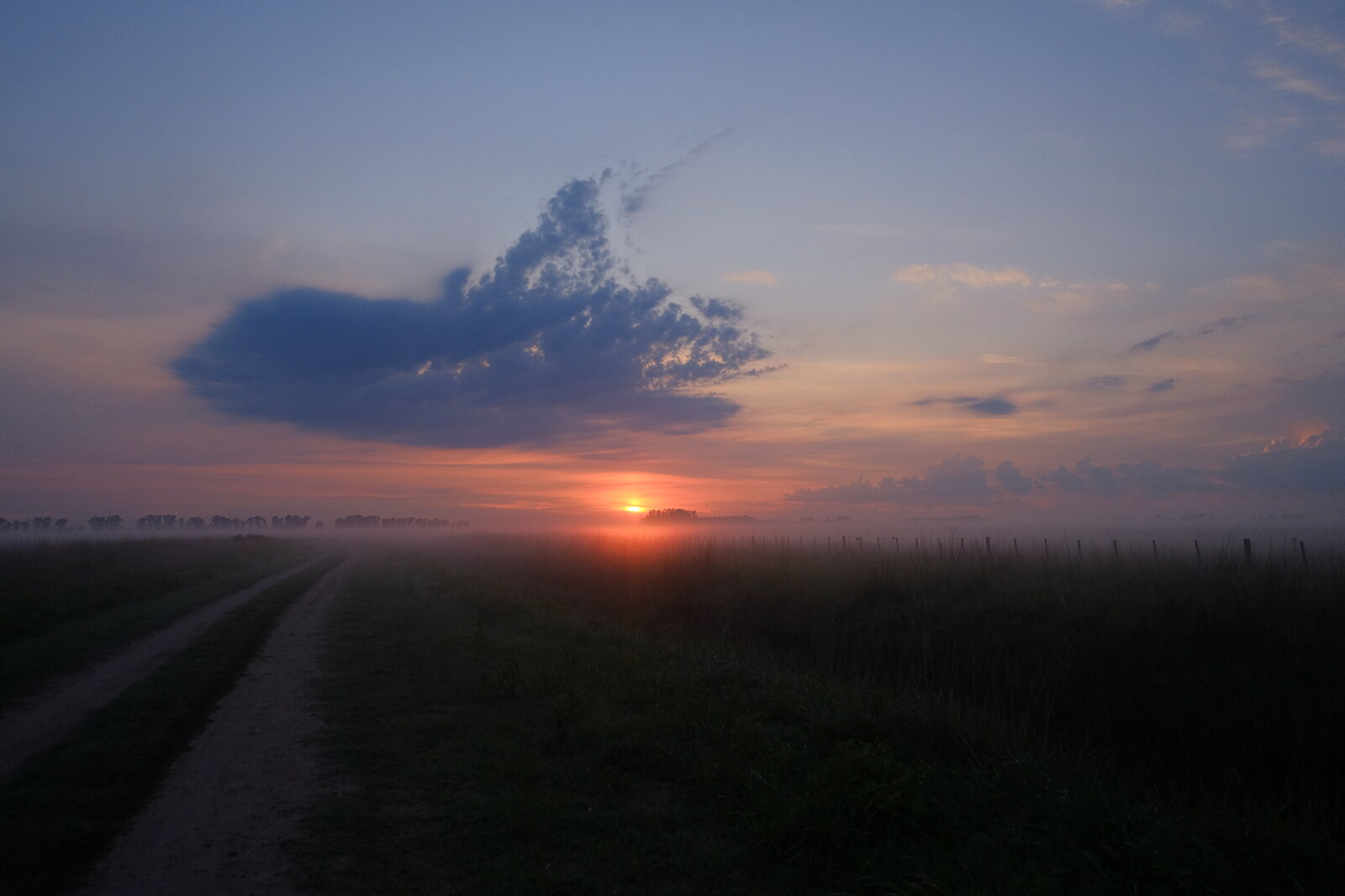 DSCF9170.JPG