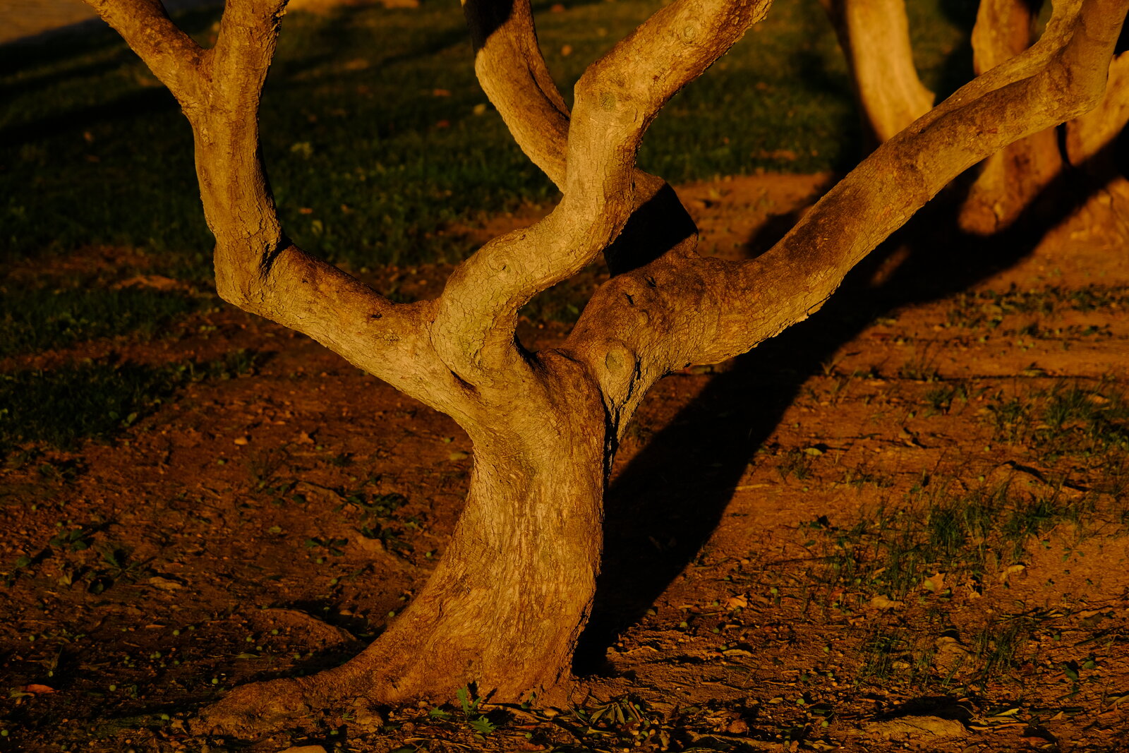 DSCF9197.JPG