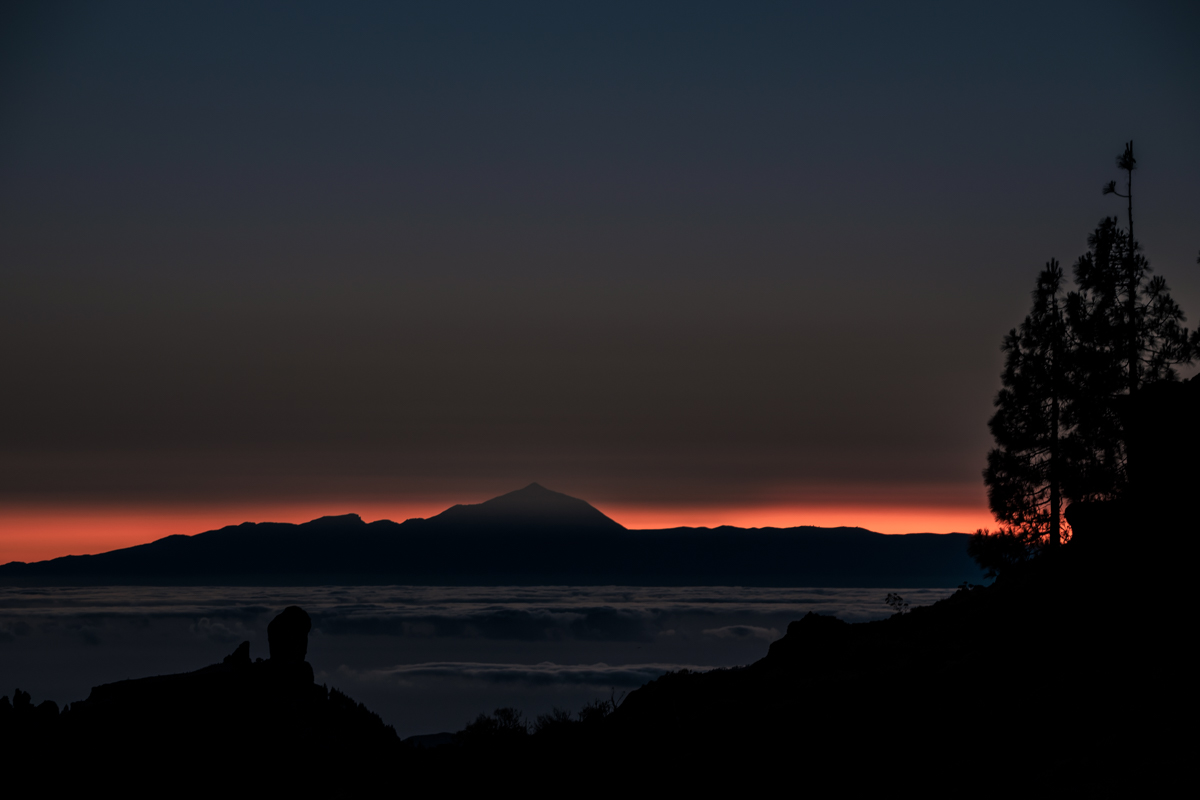 DSCF9326.jpg