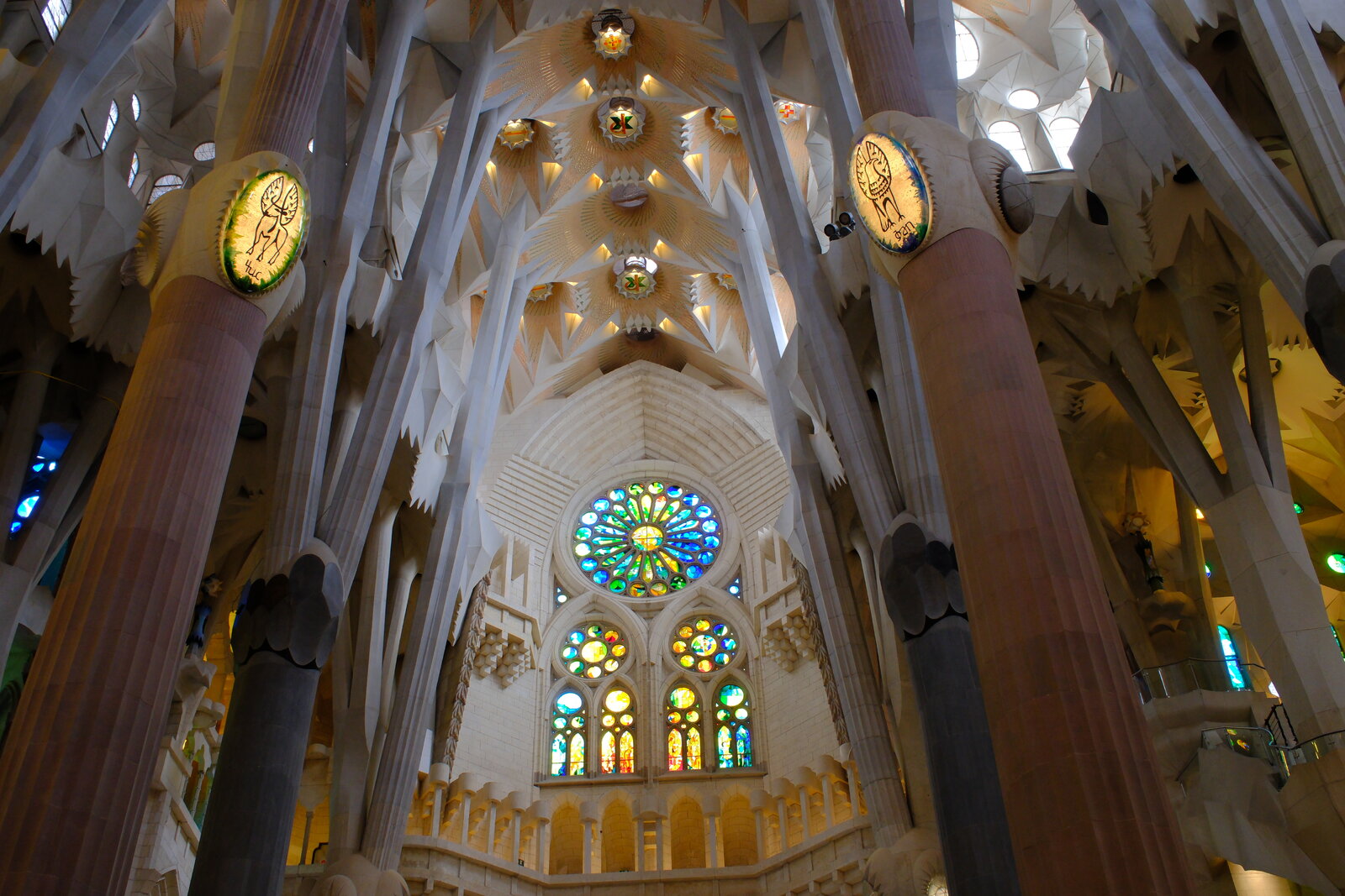 DSCF9482.JPG