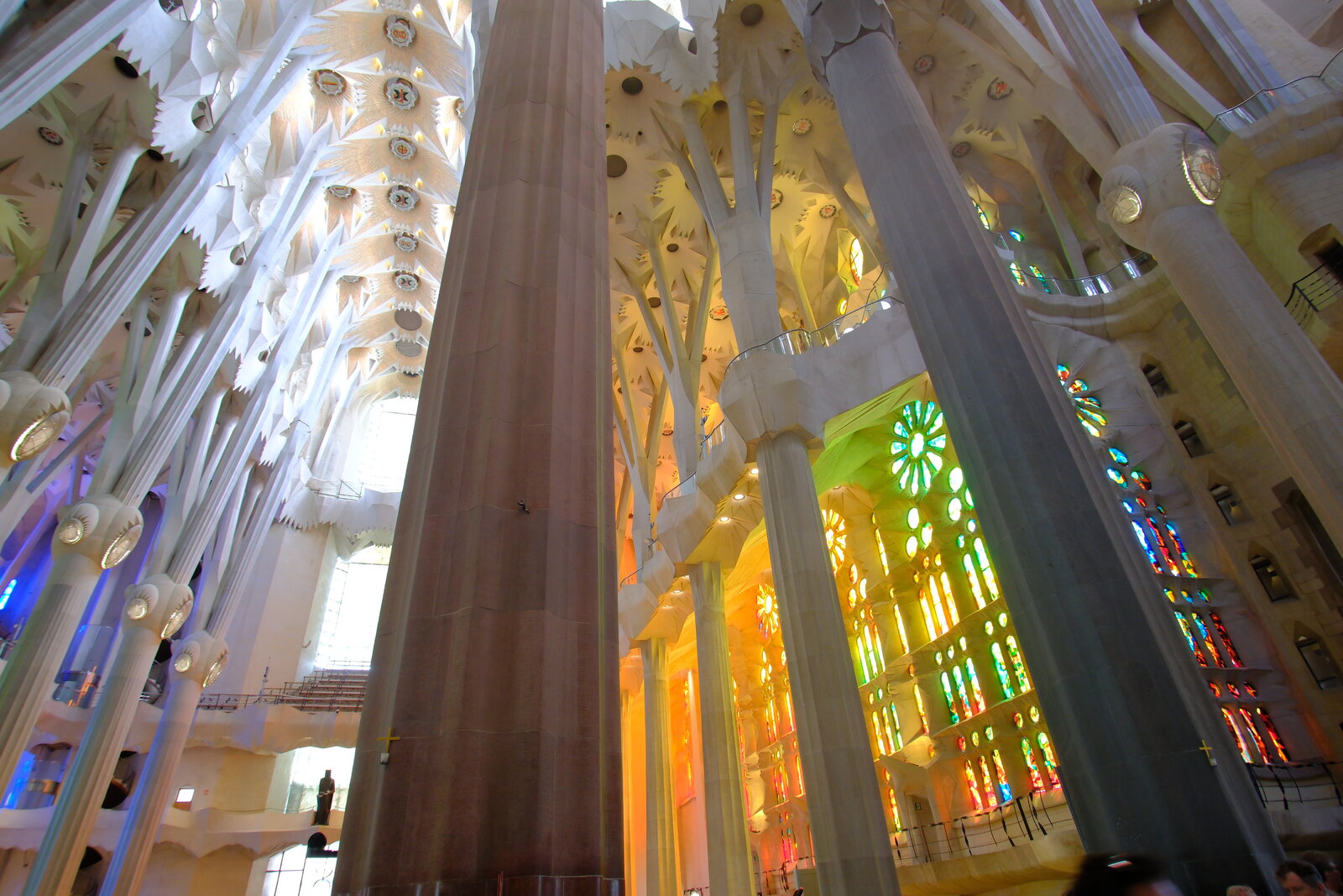 DSCF9496.JPG