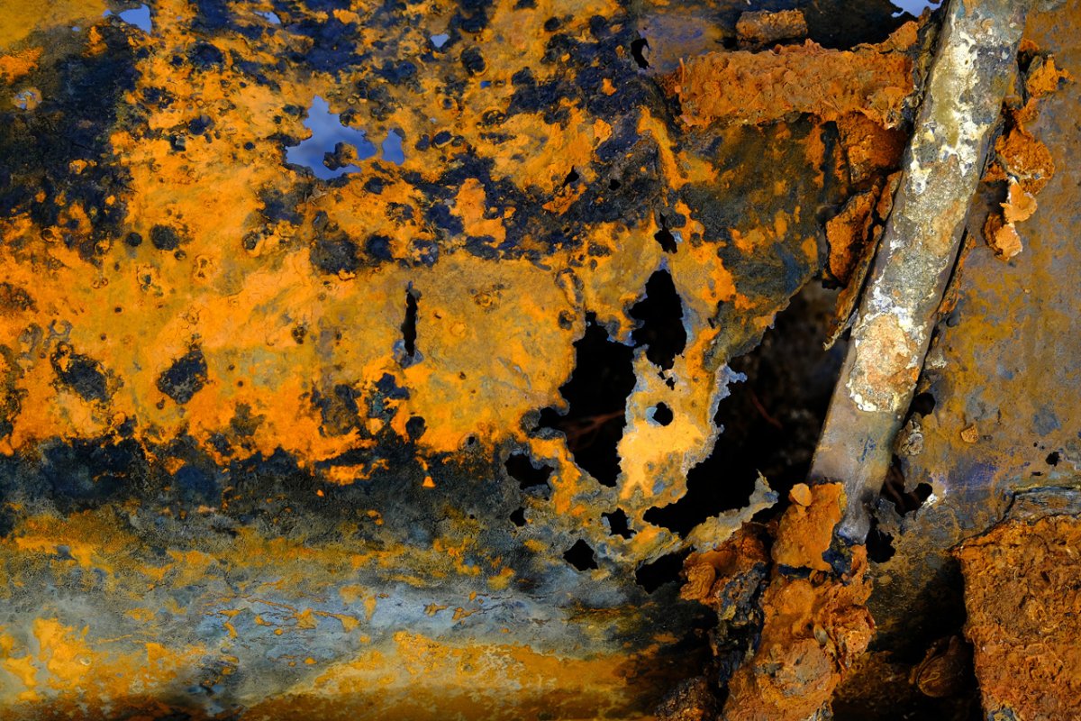 DSCF9498.jpg