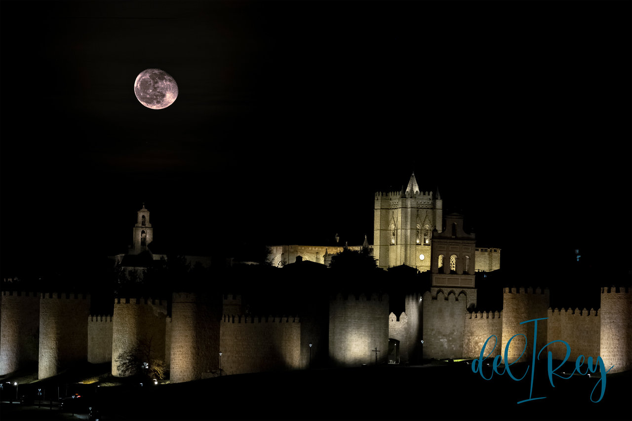 DSCF95112.jpg