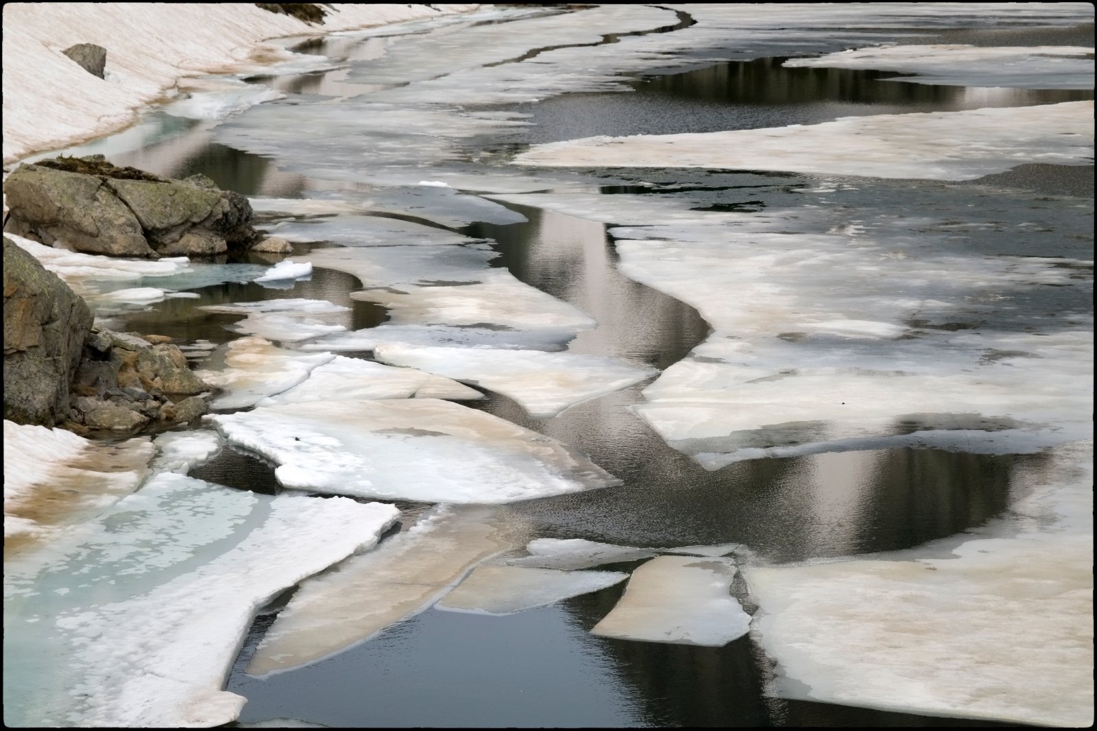 DSCF9573.jpg