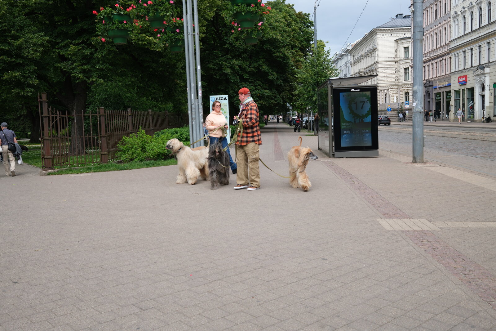 DSCF9821.JPG