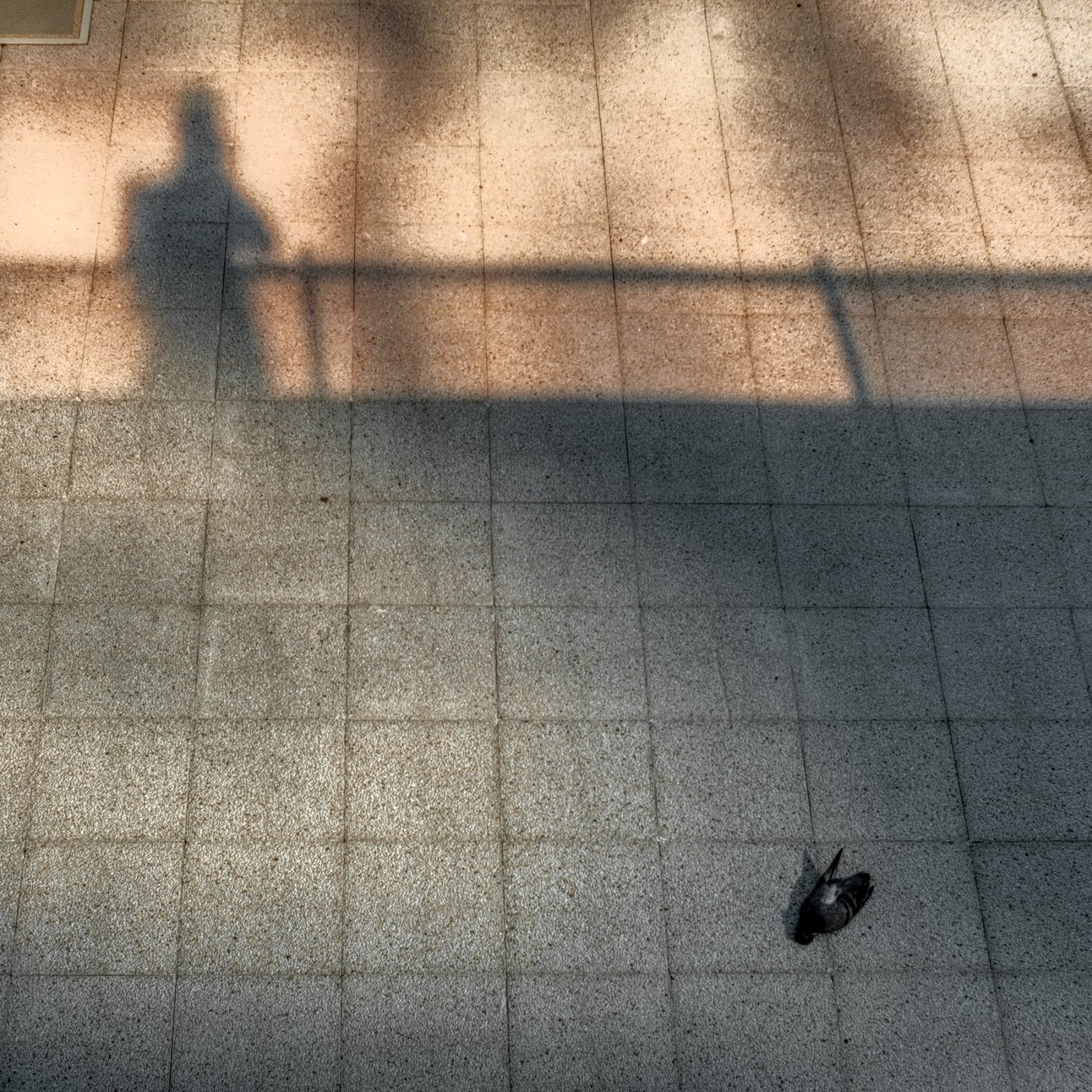 DSCF9850.jpg