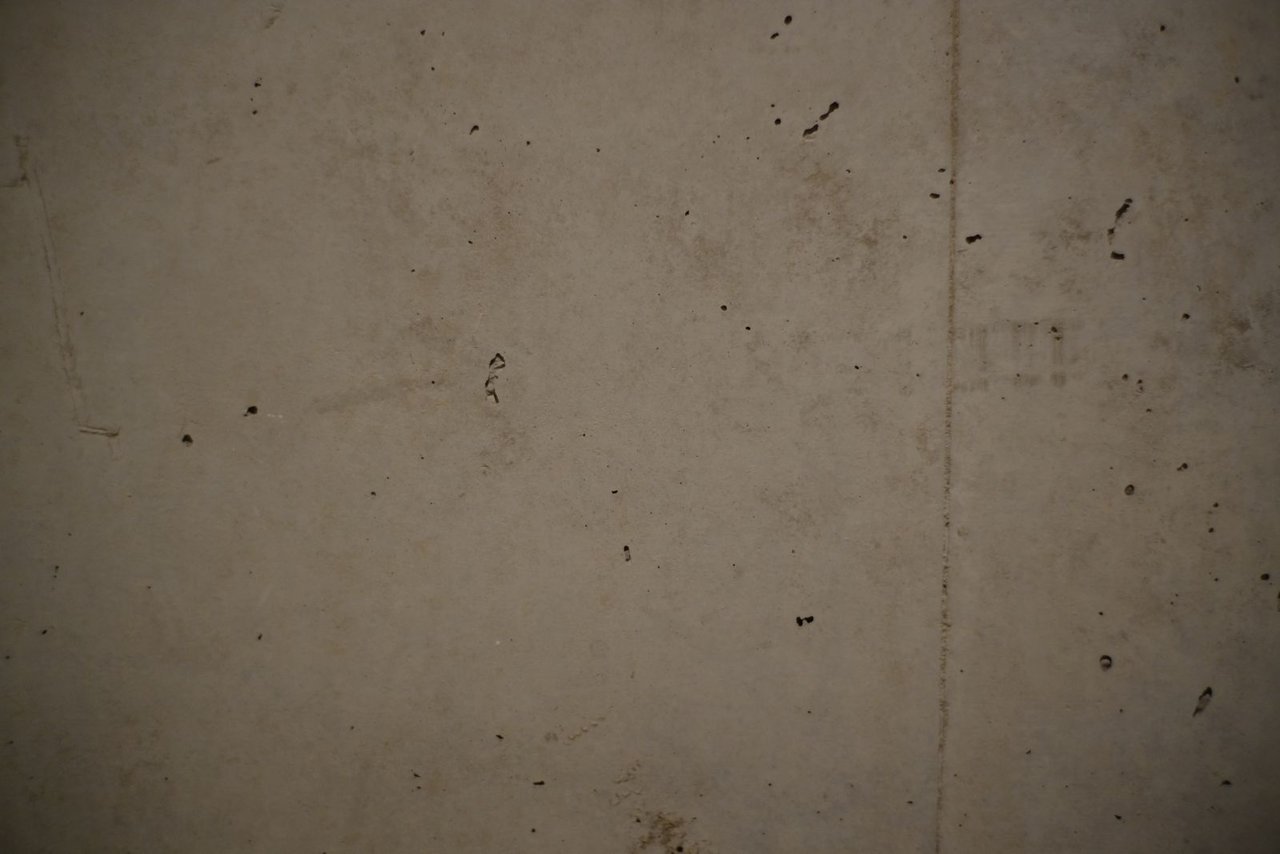DSCF9915_res.jpg