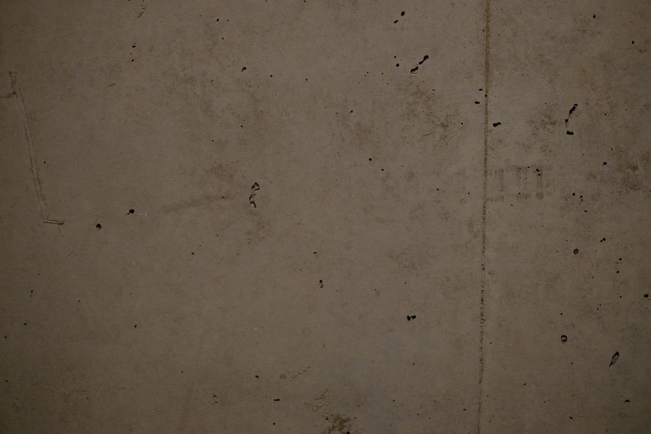 DSCF9919_res.jpg