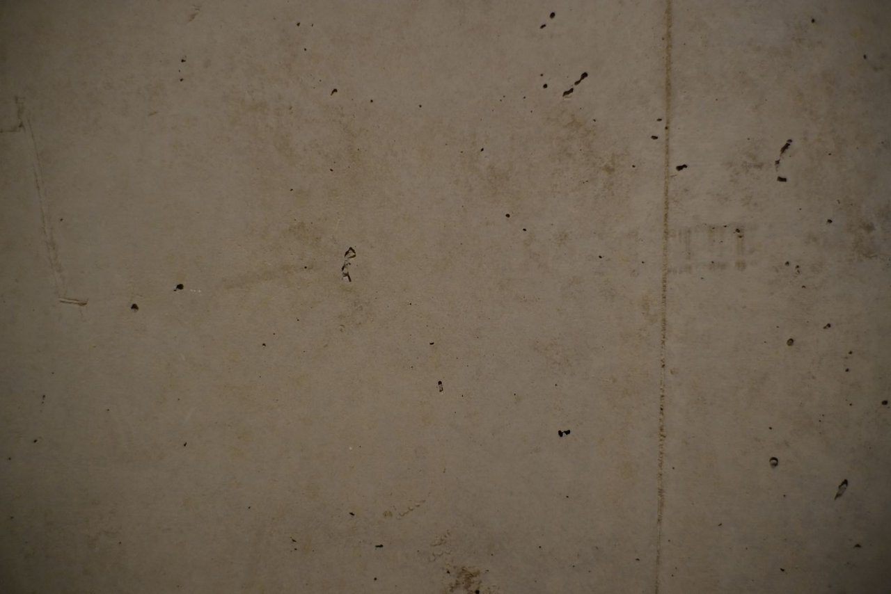 DSCF9927_res.jpg