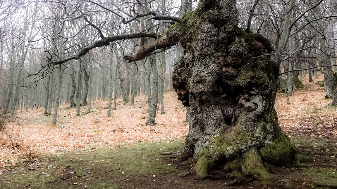 DSCF9970.jpg