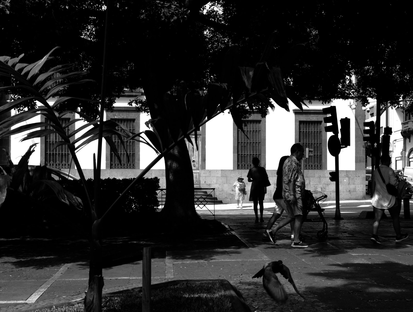 En busca de la luz, 38.JPG
