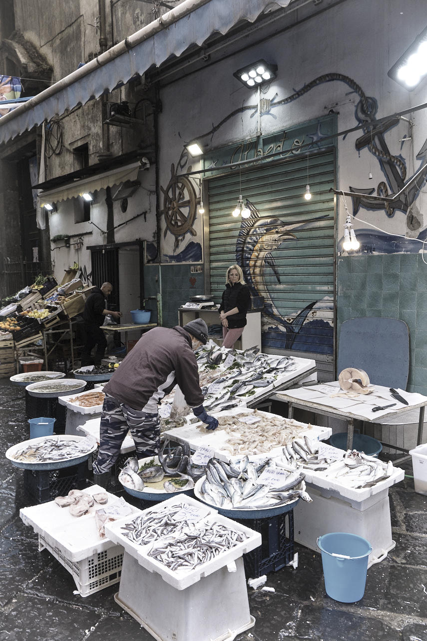 En el mercado del pescado (2).jpg