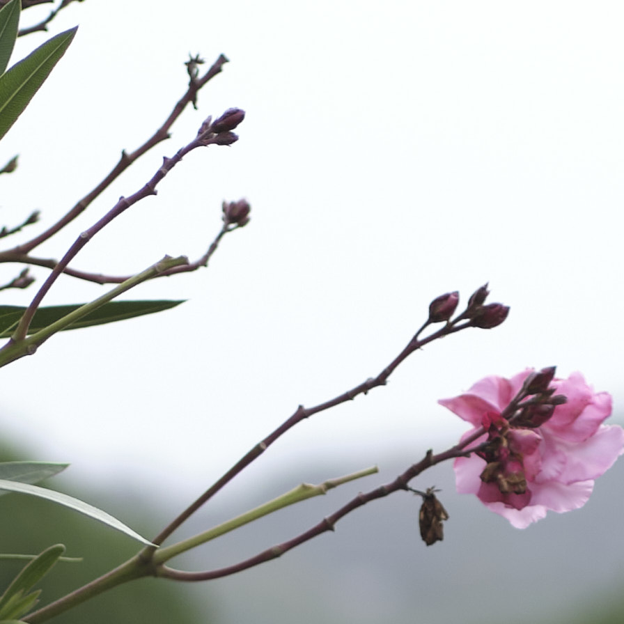 f2_XT27790detalle.jpg