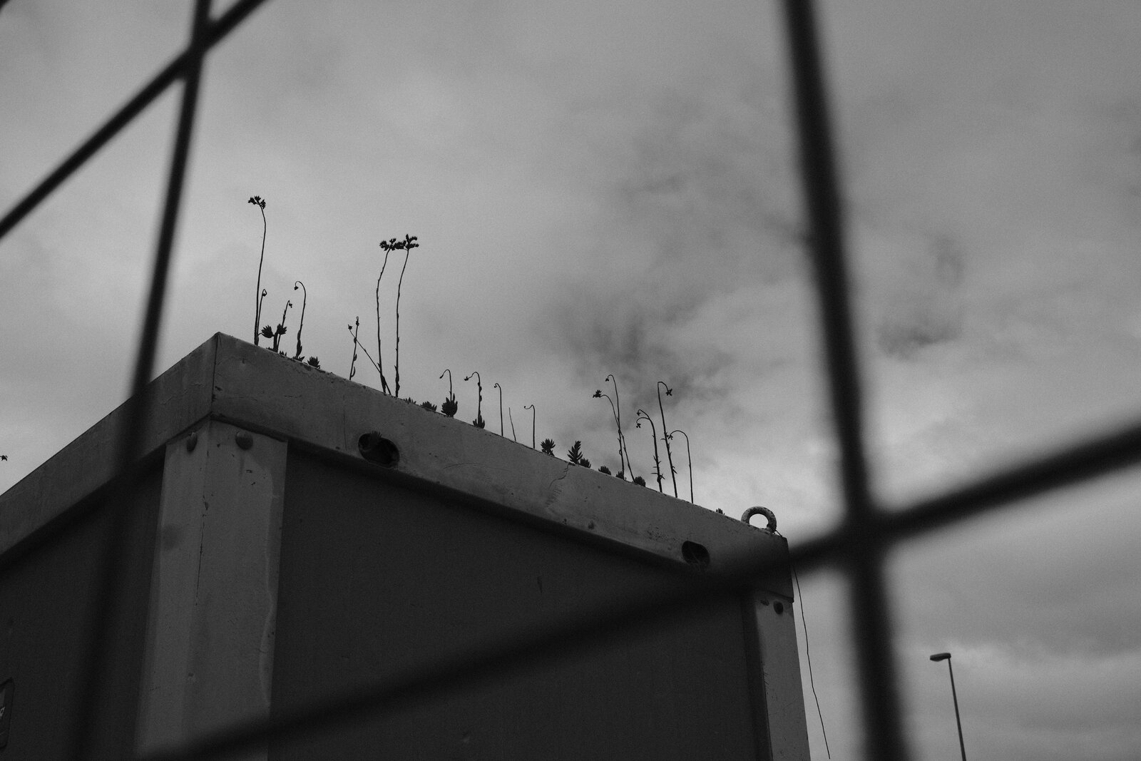 Foto de la semana 40.JPG