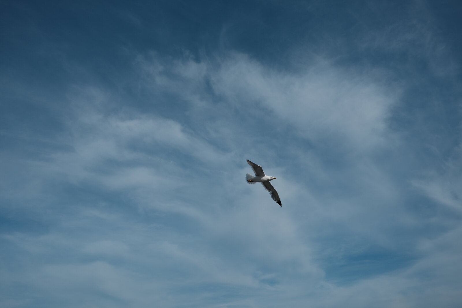 Foto semana 23_06.JPG