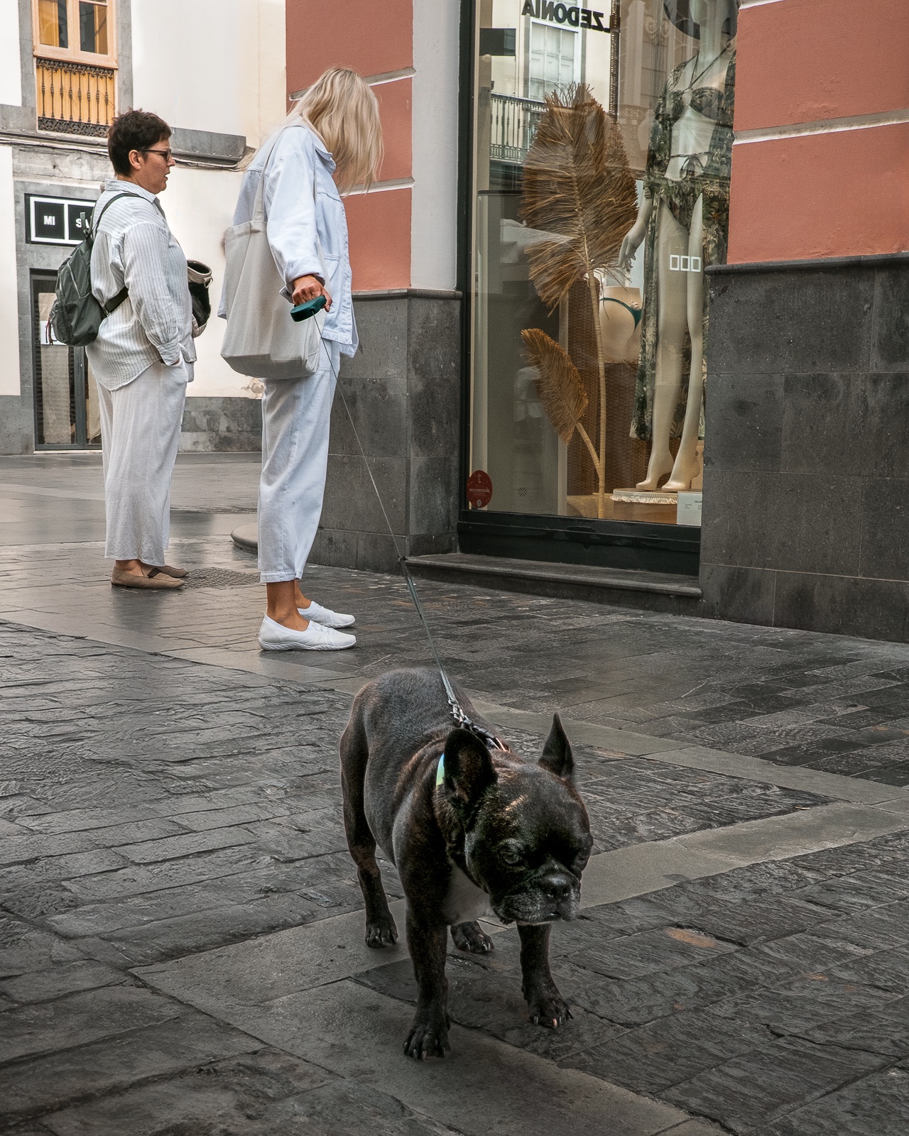 fotografo-perro-correa-chicas-mochila-bolso-escaparate-ropa.jpg