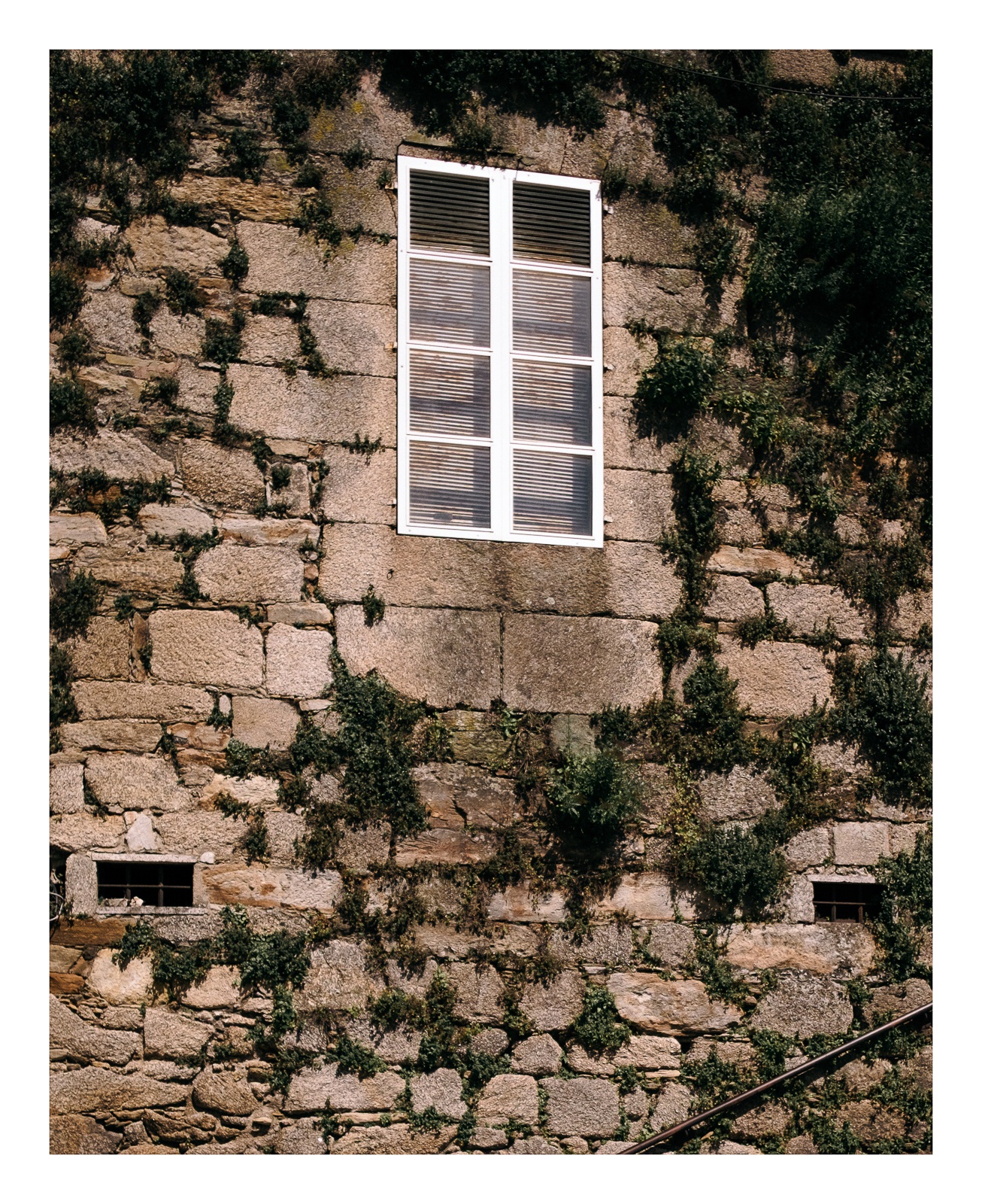 fotografo-ventanas-pared-piedra-vegetacion.jpg