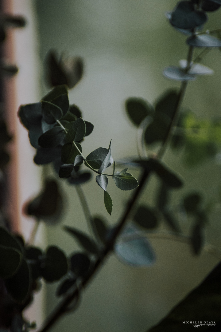 FUJI8390.JPG