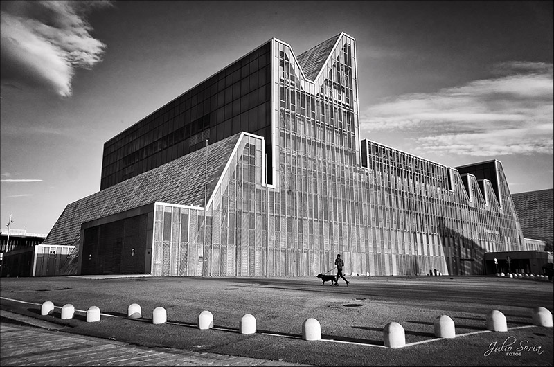 GR100341_SOLO CON GR.jpg