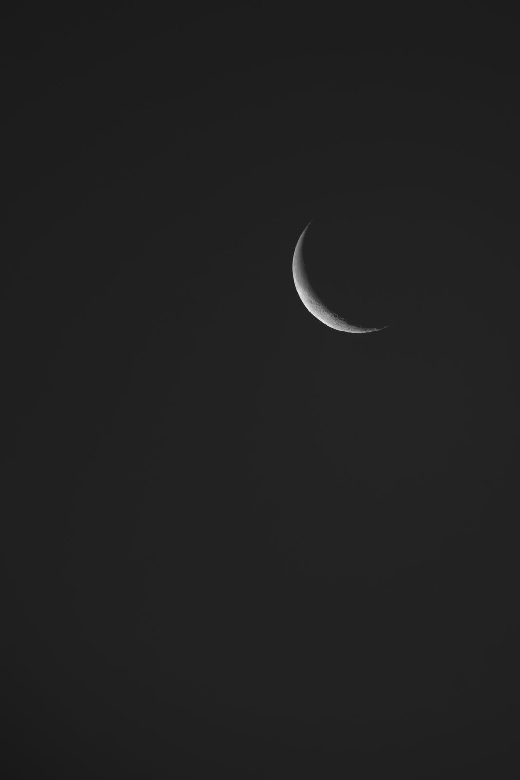 IMG_1112.jpeg