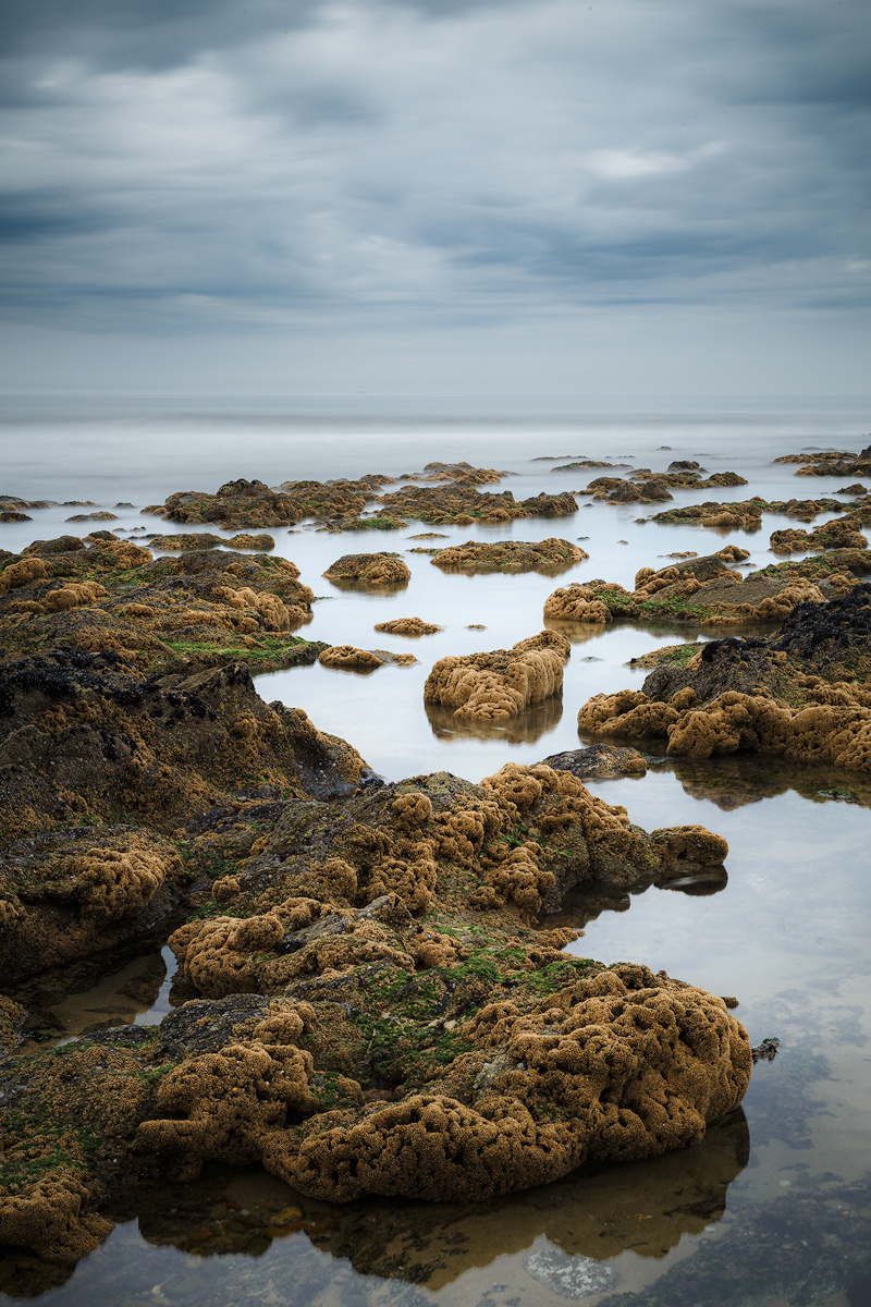 IMG_1887-sharpened.jpg