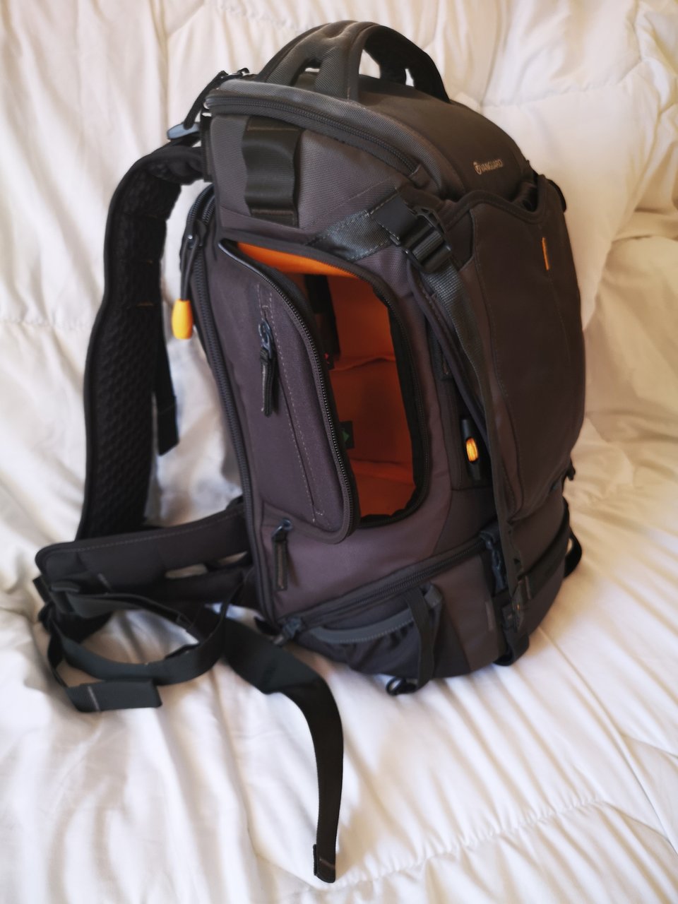 IMG_20240126_161011.jpeg