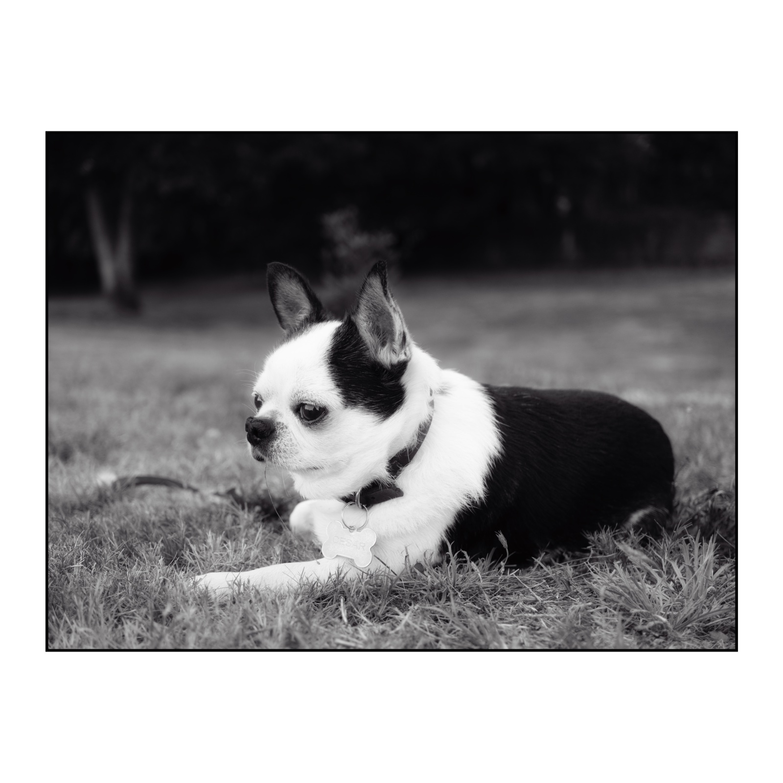 IMG_2603.jpeg