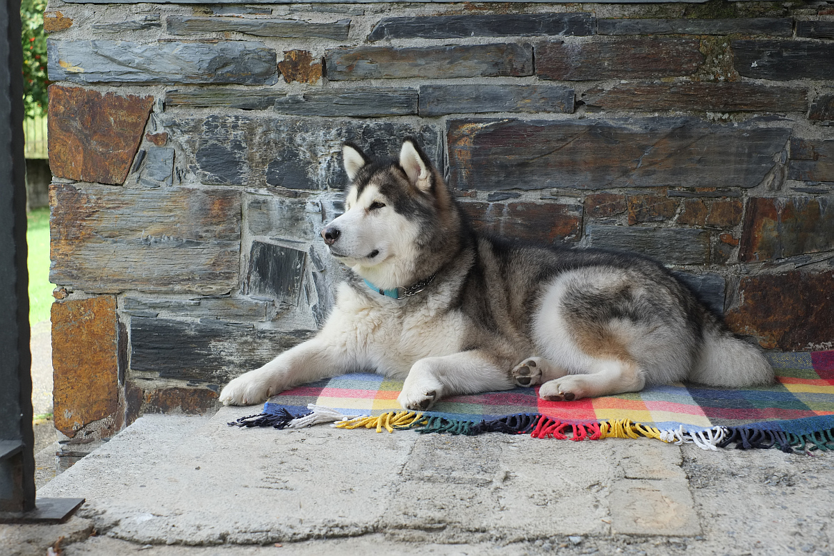 Inuk.jpg