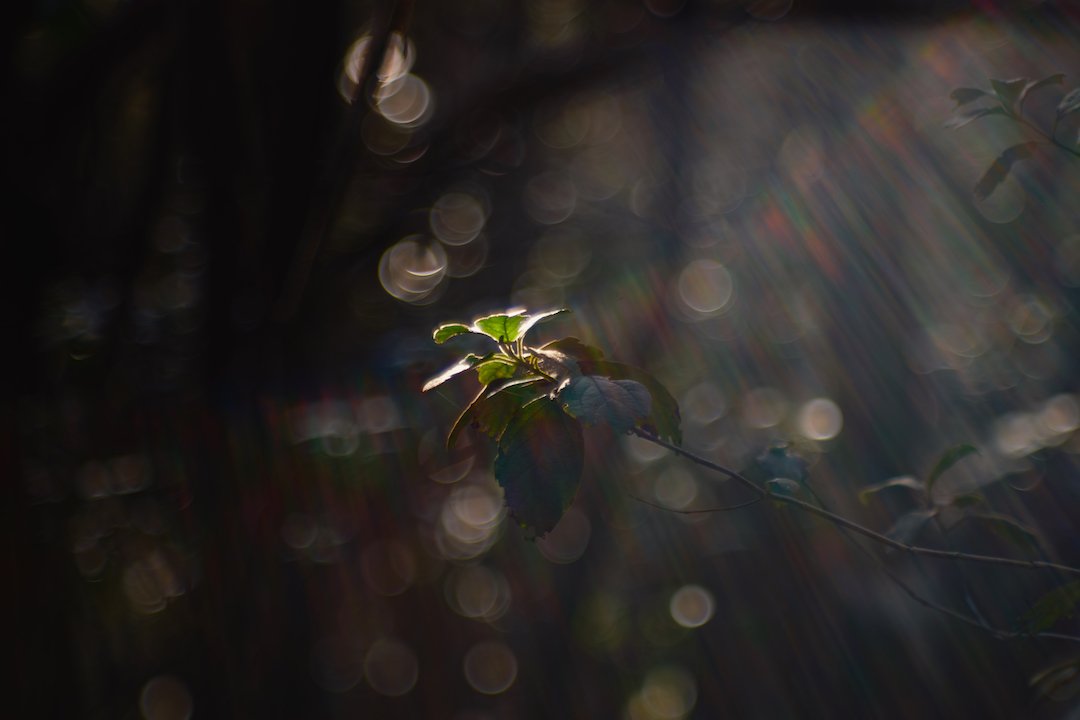 Jupiter9-10.jpg Jupiter9-10.jpg