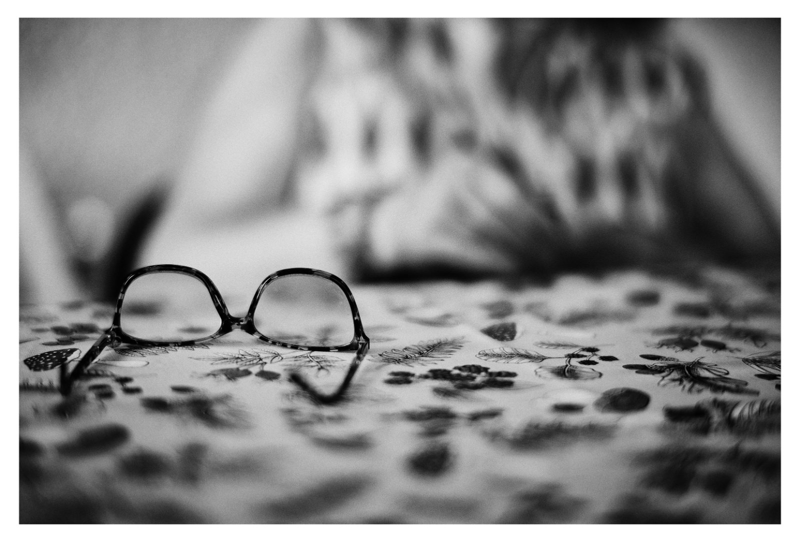 L1000447-Editar.jpg