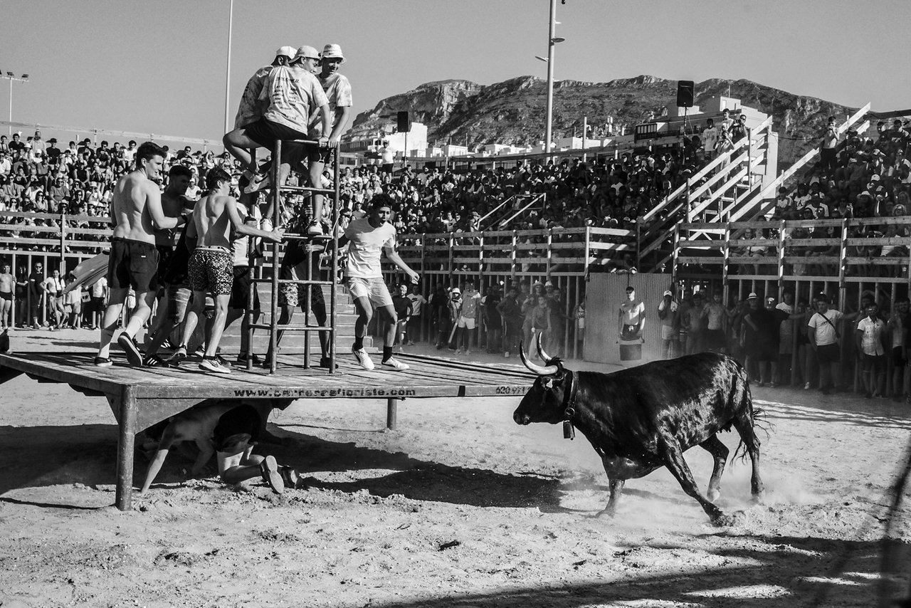 L1000542.jpg