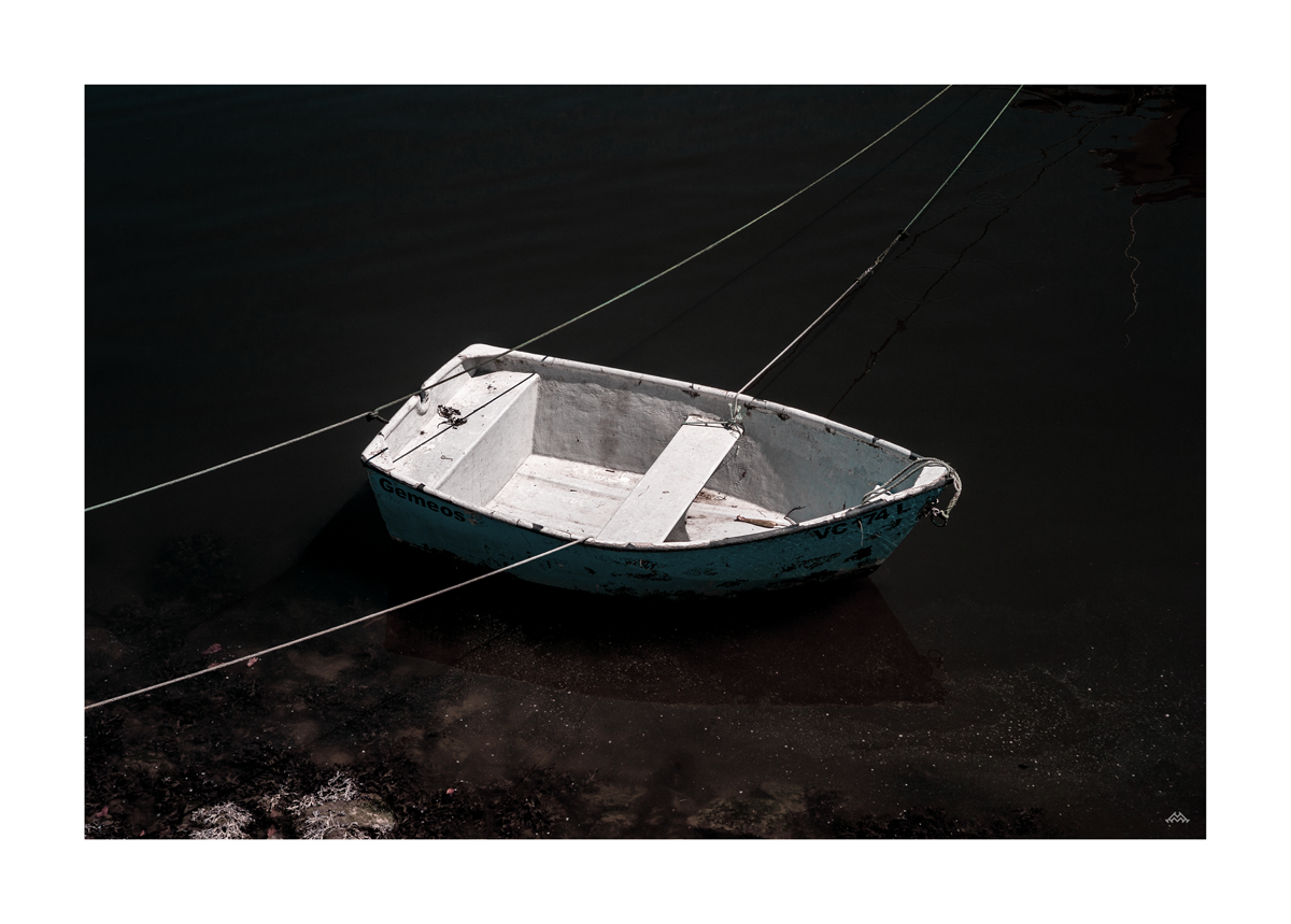 L1001265.png