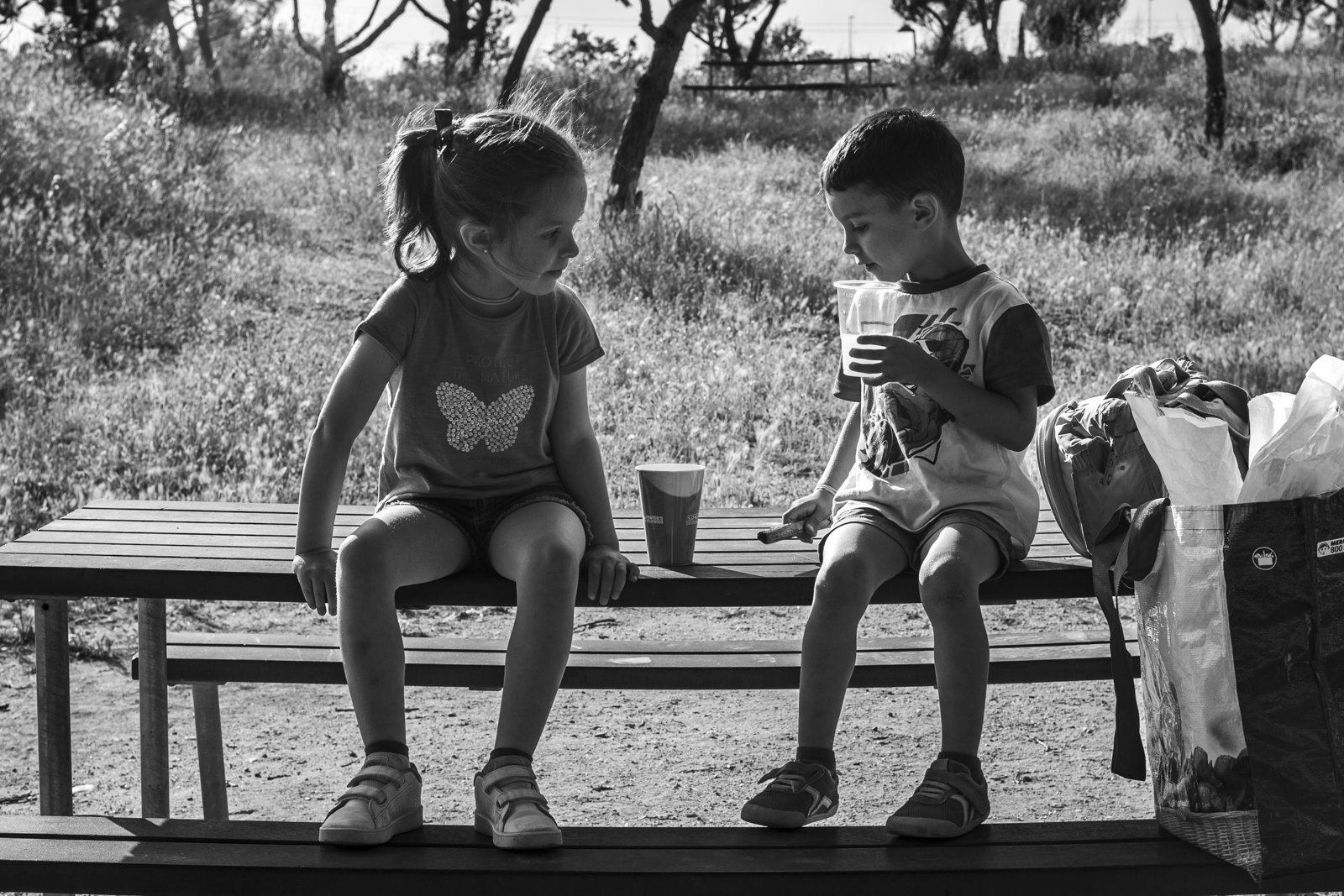 L1002484.jpg